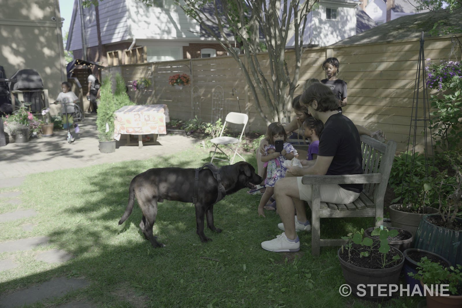 A backyard gathering in the afternoon sun — guests on a bench, a black dog greeting a child