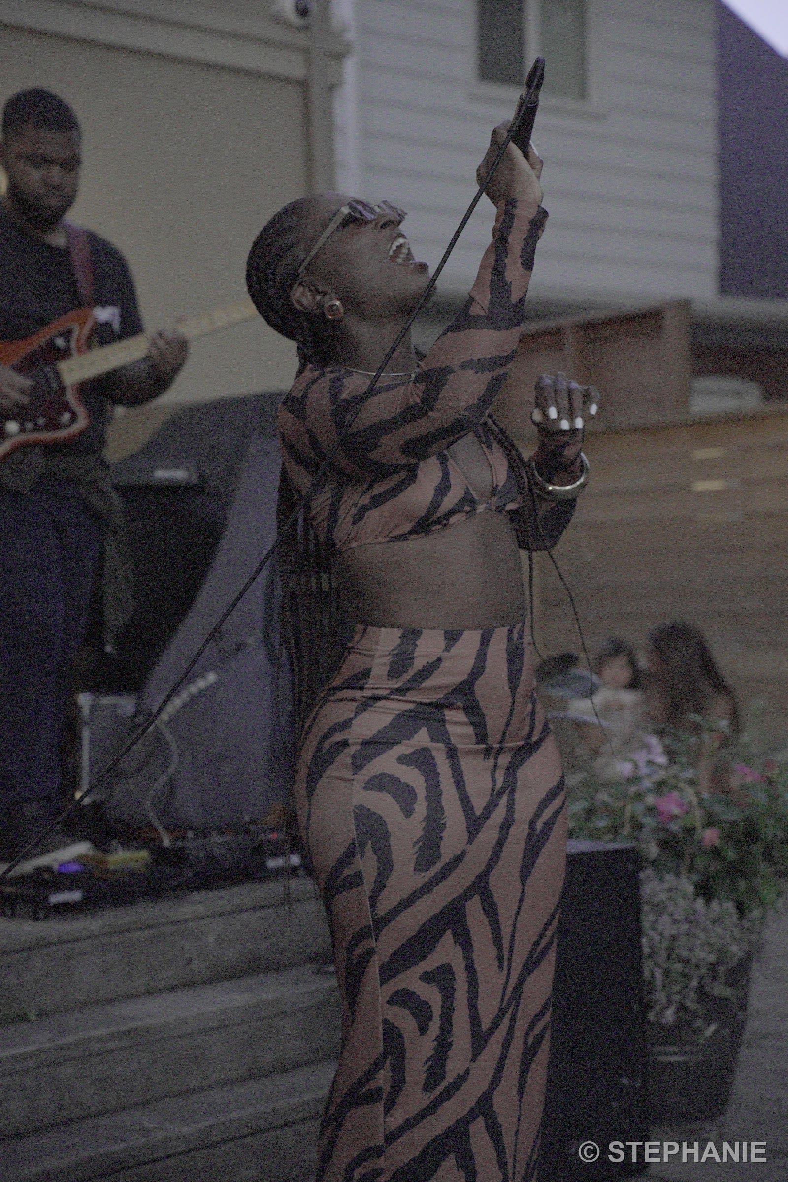The singer reaching skyward mid-note, guitarist behind her, dusk settling in